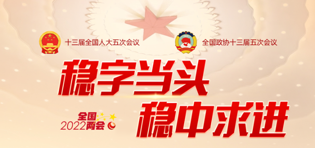 【聚焦全國兩會(huì)】代表委員談電力（一）